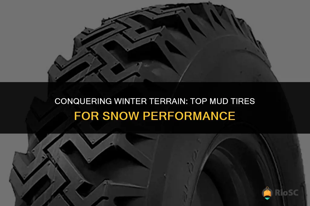 best mud tires for snow
