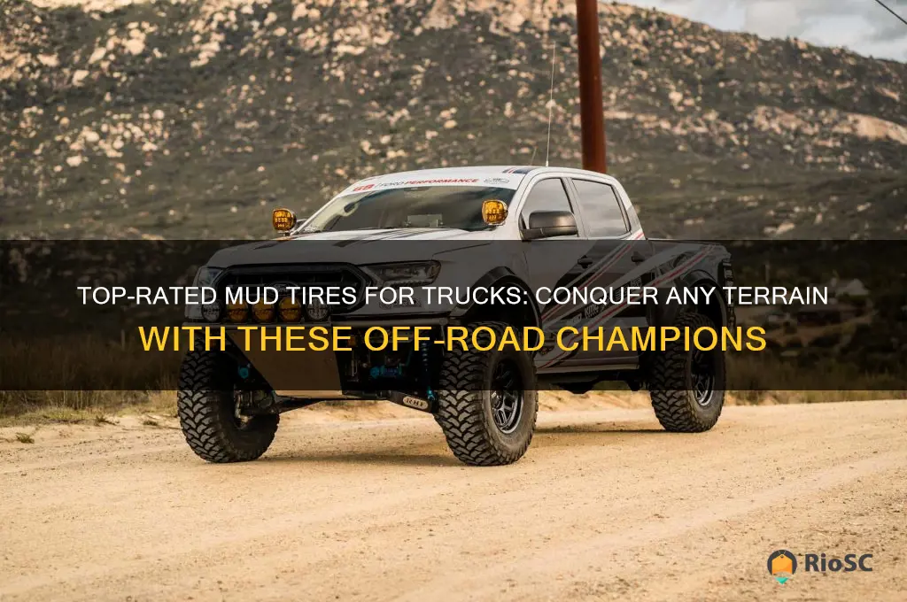 best mud tires for trucks