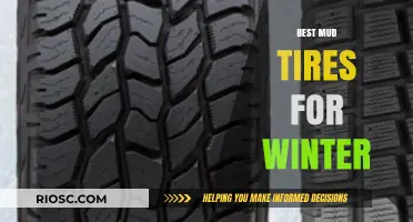 Conquer Winter Roads: Top Mud Tires for Unbeatable Traction