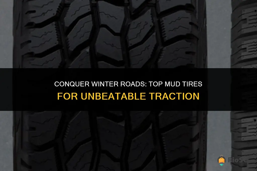 best mud tires for winter