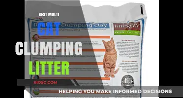 Top Picks for Multi-Cat Homes: The Best Clumping Litter for Odor Control and Easy Cleanup