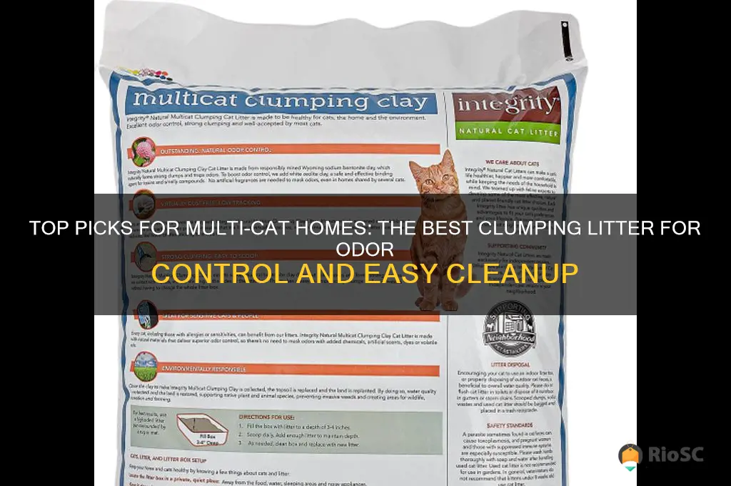 best multi cat clumping litter