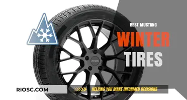 Top Picks for Mustang Winter Tires: Stay Safe and Stylish on the Slippery Roads