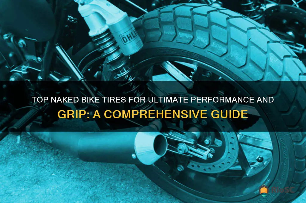 best naked bike tires