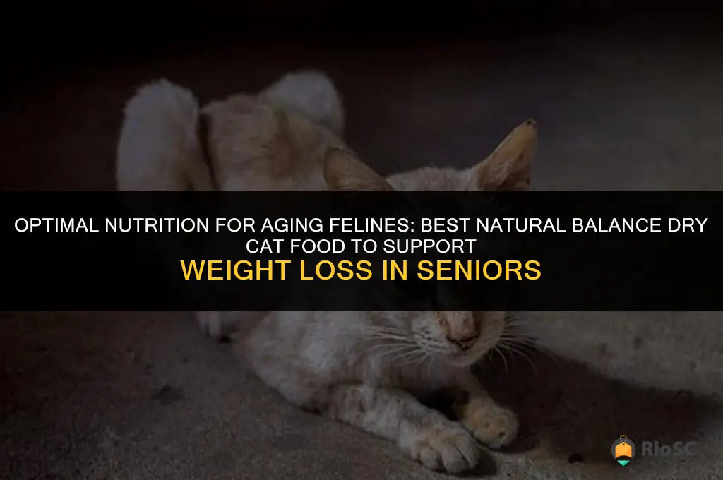 best natural balance dry cat food for senior losing weight