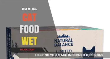 Top Picks for the Best Natural Wet Cat Food: A Comprehensive Guide for Feline Nutrition