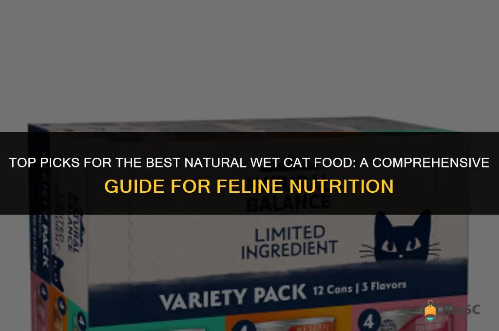 best natural cat food wet