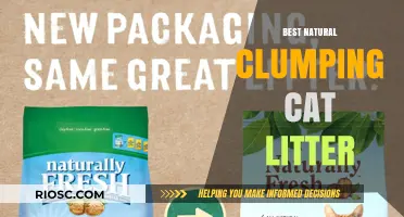 Eco-Friendly and Effective: Discover the Best Natural Clumping Cat Litter for Your Feline Friend