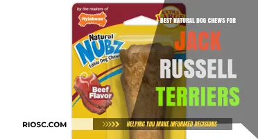 Healthy and Durable: Top Natural Dog Chews for Jack Russell Terriers