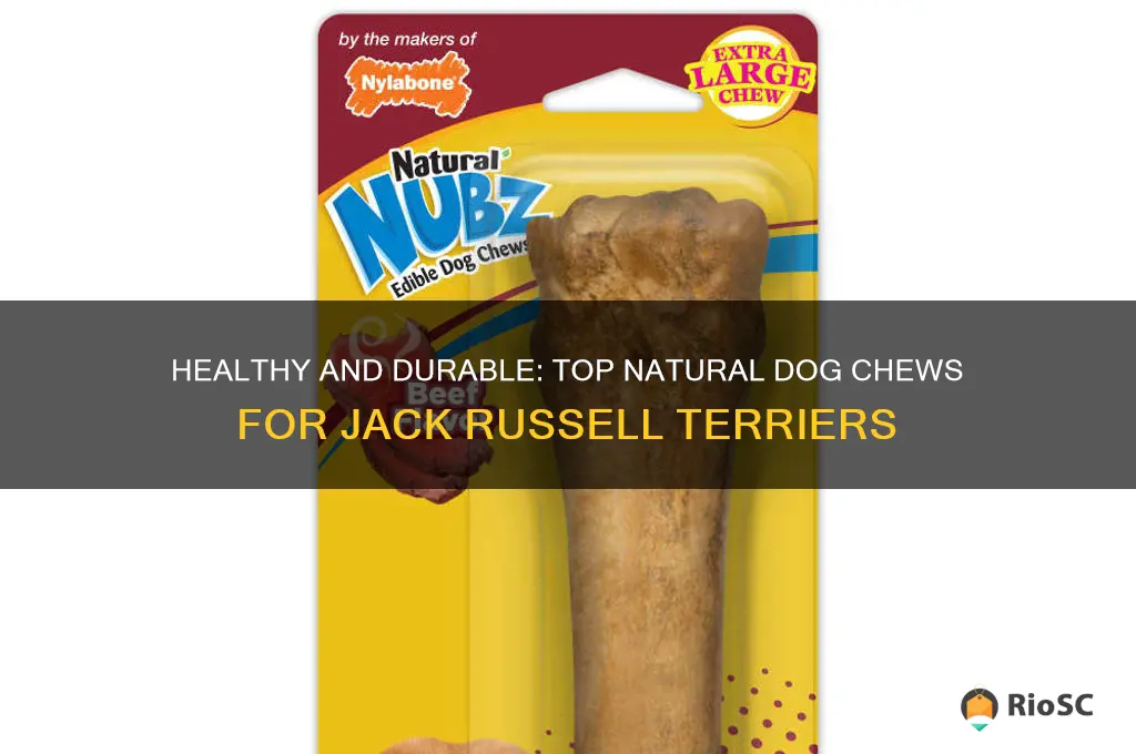 best natural dog chews for jack russell terriers