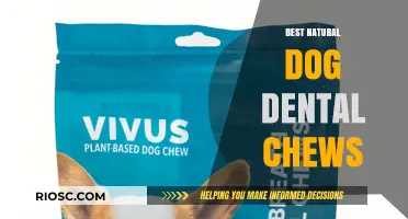 Natural Dog Dental Chews: Top Picks for Healthy Teeth and Fresh Breath