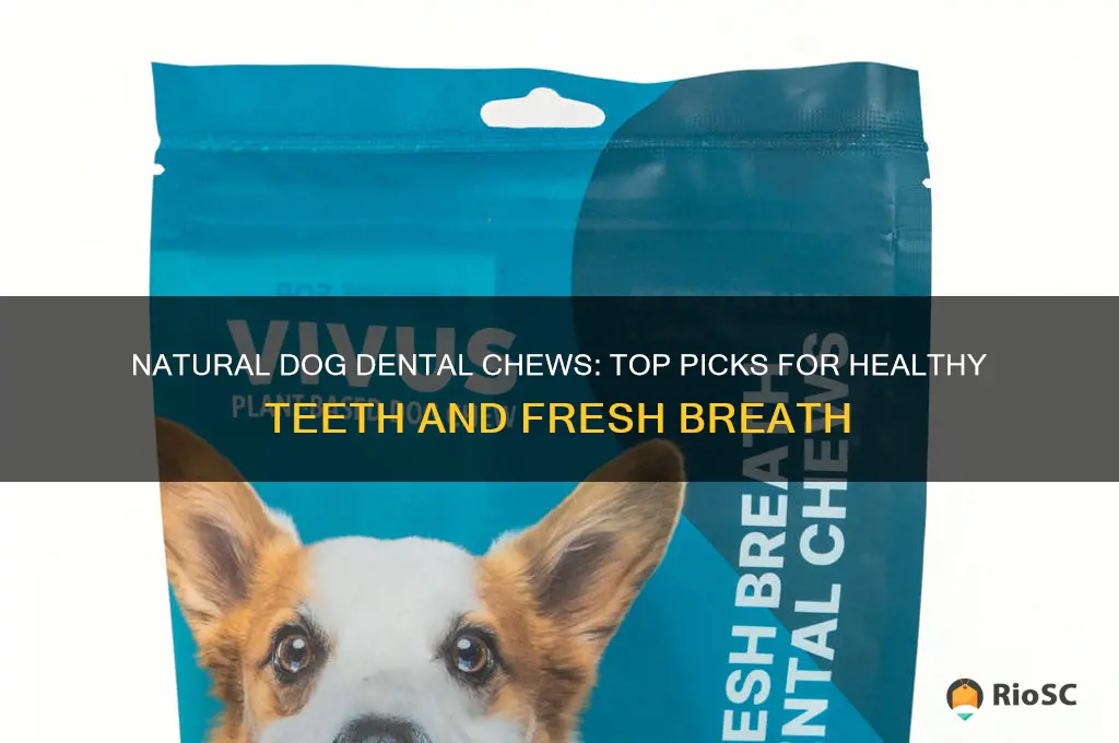 best natural dog dental chews