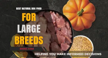 Nourishing Giants: Top Natural Dog Food Picks for Large Breeds