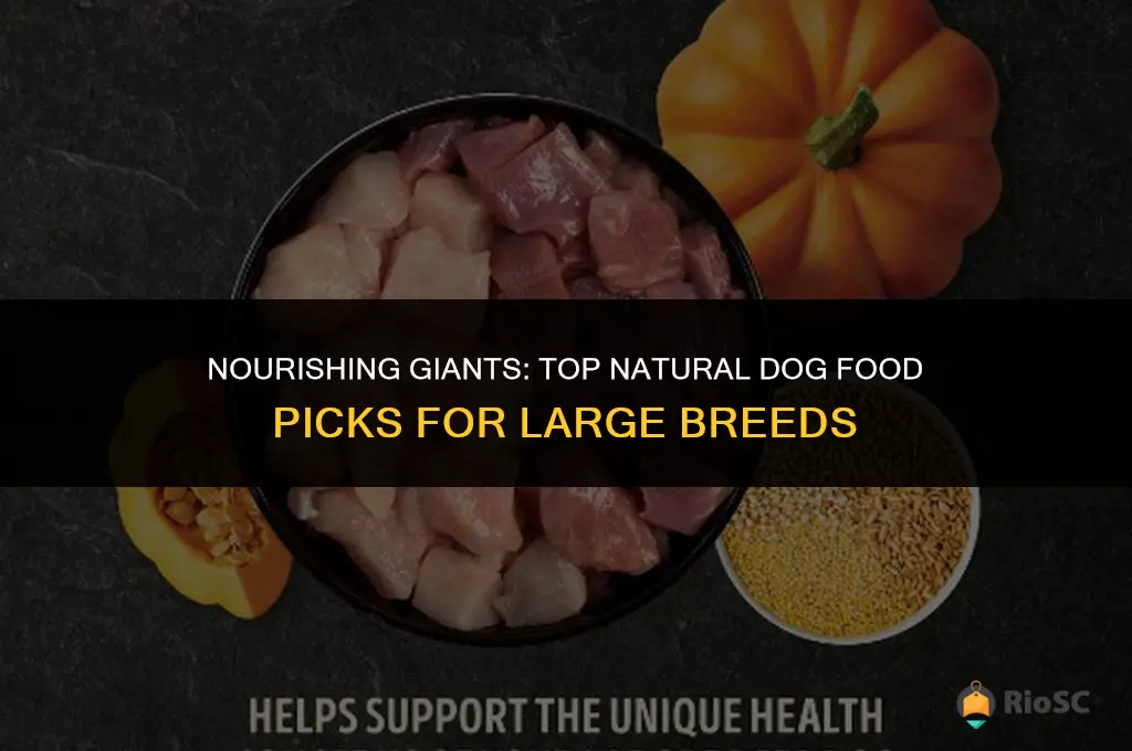 best natural dog food for large breeds