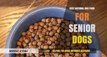 Nourishing Golden Years: Top Natural Dog Food Options for Senior Dogs