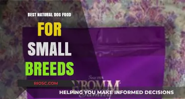 Nutritious and Delicious: Top Natural Dog Food Options for Small Breeds