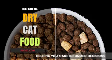 Purr-fectly Natural: Top Dry Cat Food Picks for Health-Conscious Felines