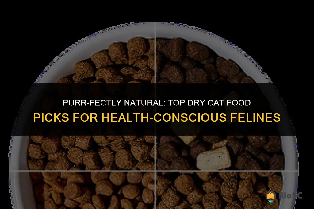best natural dry cat food