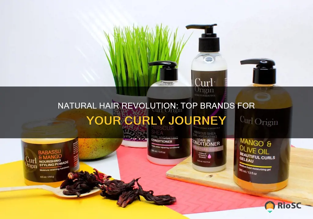 best nautrla hair brand