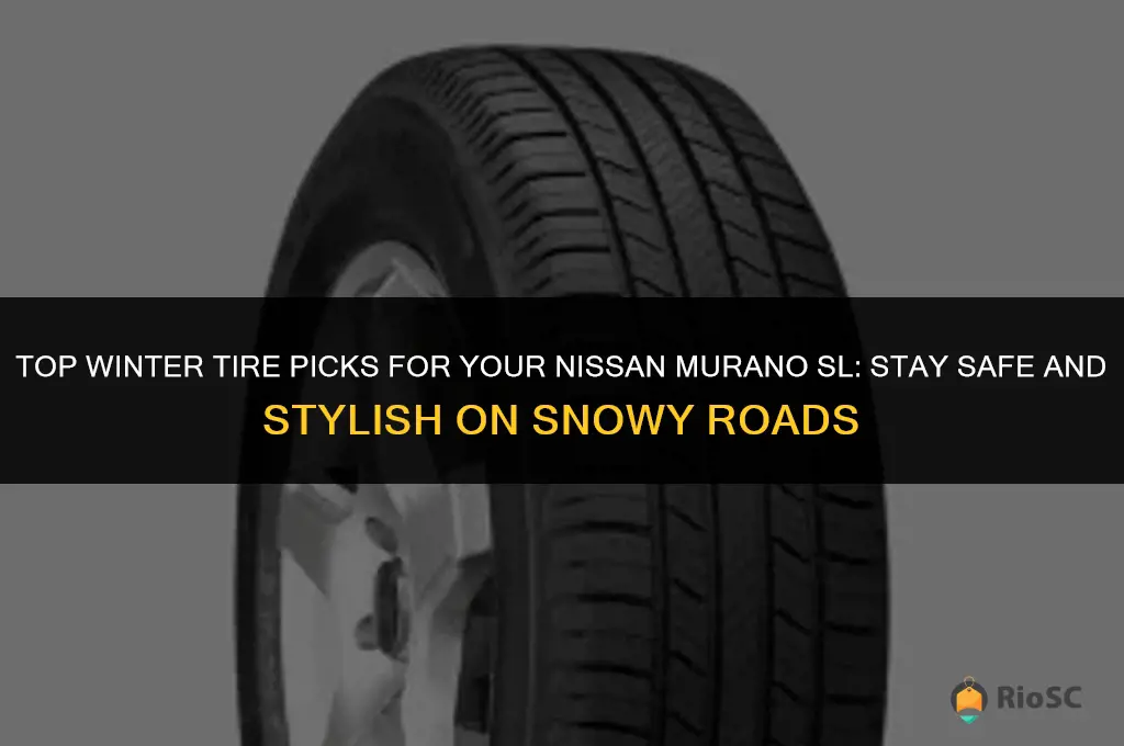 best nissan murano sl winter tires