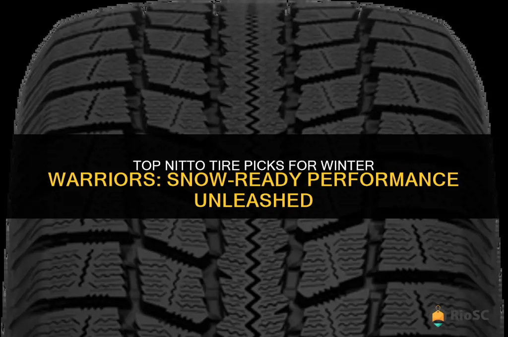 best nitto tires for snow
