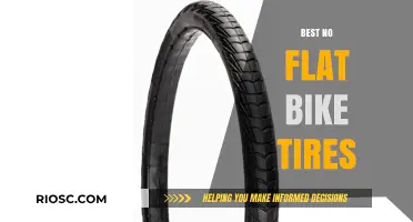 Say Goodbye to Punctures: The Ultimate Guide to the Best No-Flat Bike Tires