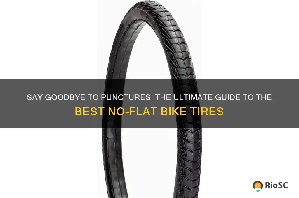 best no flat bike tires