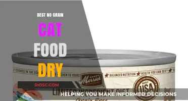 Top Picks for No Grain Dry Cat Food: A Comprehensive Guide to Healthy Feline Nutrition