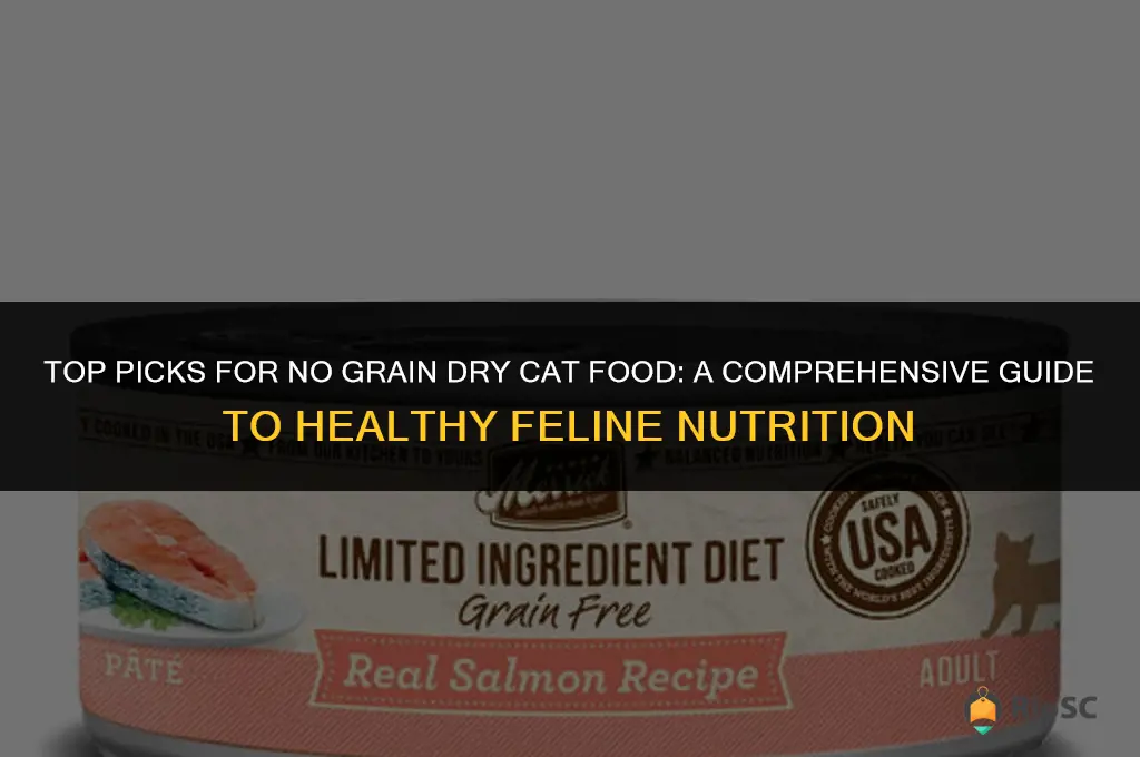 best no grain cat food dry