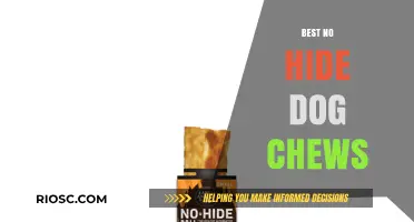 Safe and Delicious: Top No-Hide Dog Chews Your Pup Will Love