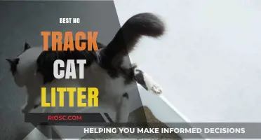 Top Picks for No-Track Cat Litter: Keep Your Home Clean and Your Cat Happy