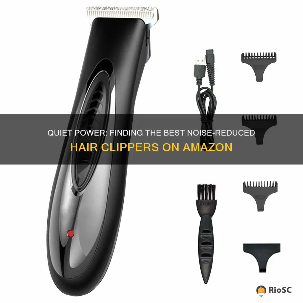 best noise hair clippers amazon