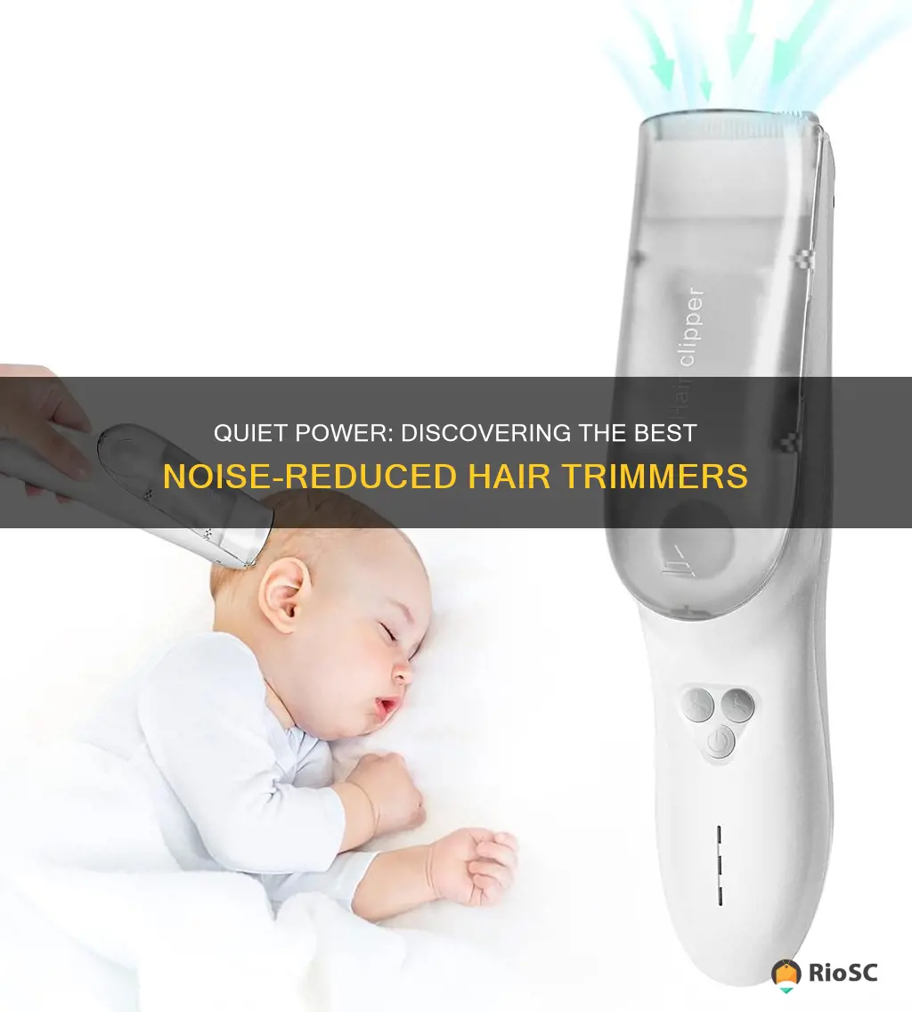 best noise hair trimmer