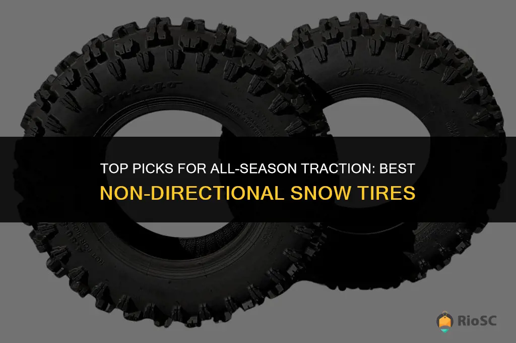 best non directional snow tires