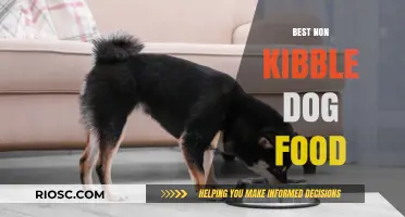 Exploring the Top Non-Kibble Dog Food Options for Optimal Canine Health