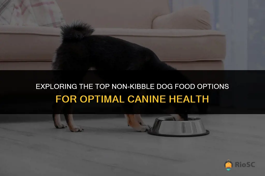 best non kibble dog food
