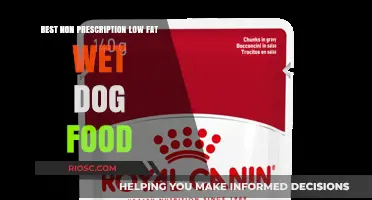 Top Non-Prescription Low-Fat Wet Dog Foods for Optimal Canine Health