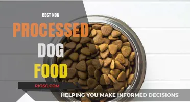 Exploring the Benefits of Non-Processed Dog Food: A Guide to Healthier Canine Nutrition
