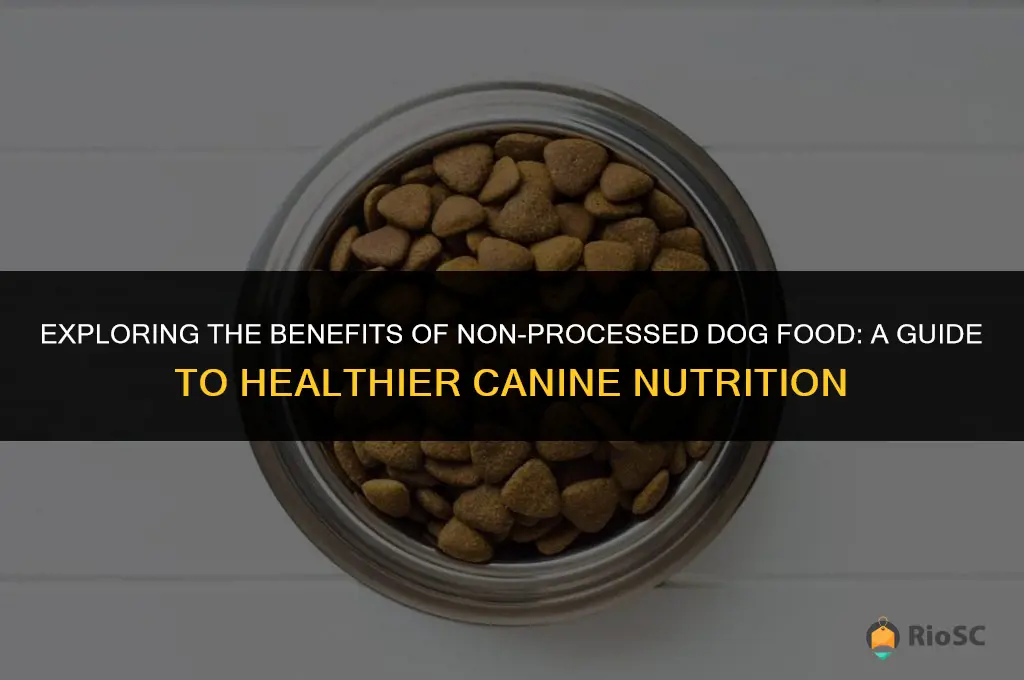 best non processed dog food