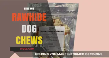 Safe and Durable Alternatives: The Best Non-Rawhide Dog Chews for Your Furry Friend