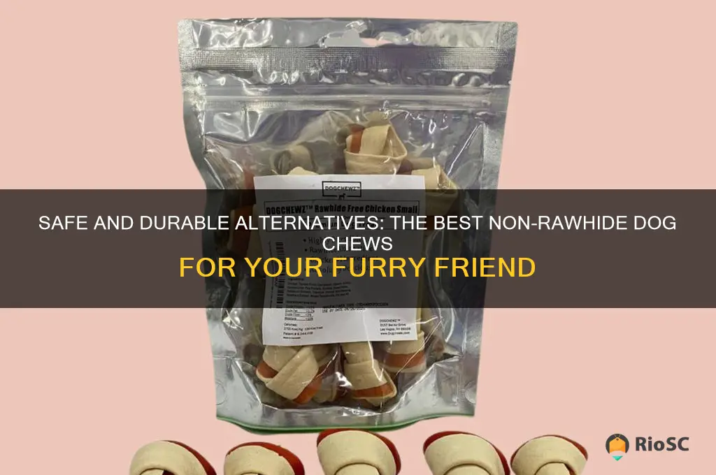 best non rawhide dog chews