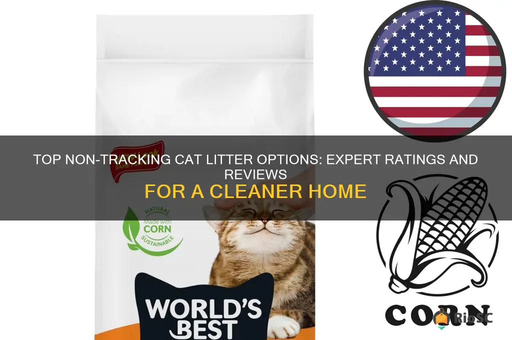 best non tracking cat litter ratings