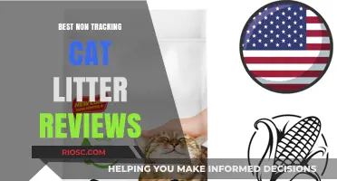 Top Non-Tracking Cat Litter Options: Expert Reviews for a Cleaner Home