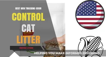 Top Non-Tracking Odor Control Cat Litter Options for a Fresh and Clean Home