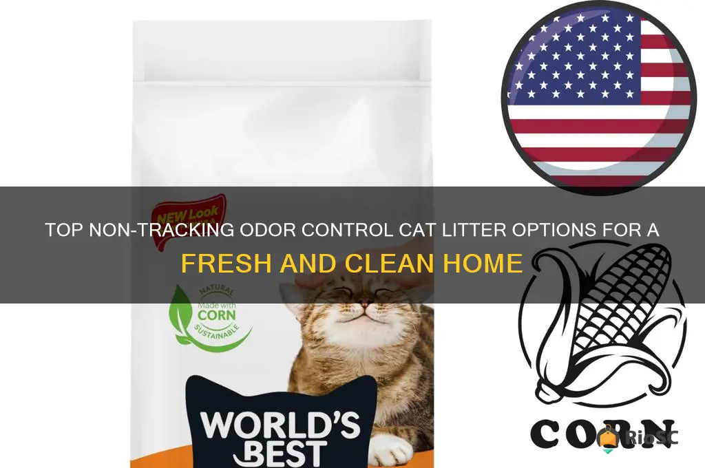 best non tracking odor control cat litter