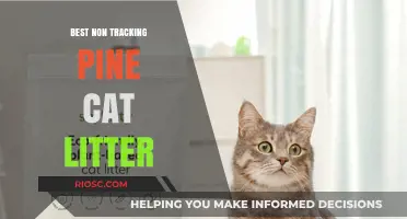 Eco-Friendly and Privacy-Focused: The Best Non-Tracking Pine Cat Litter Options for Your Feline Friend