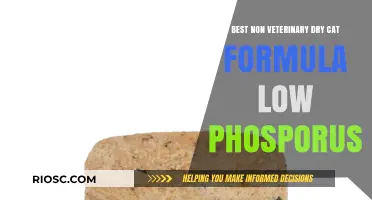 Top Picks for Low-Phosphorus Non-Veterinary Dry Cat Food: A Comprehensive Guide