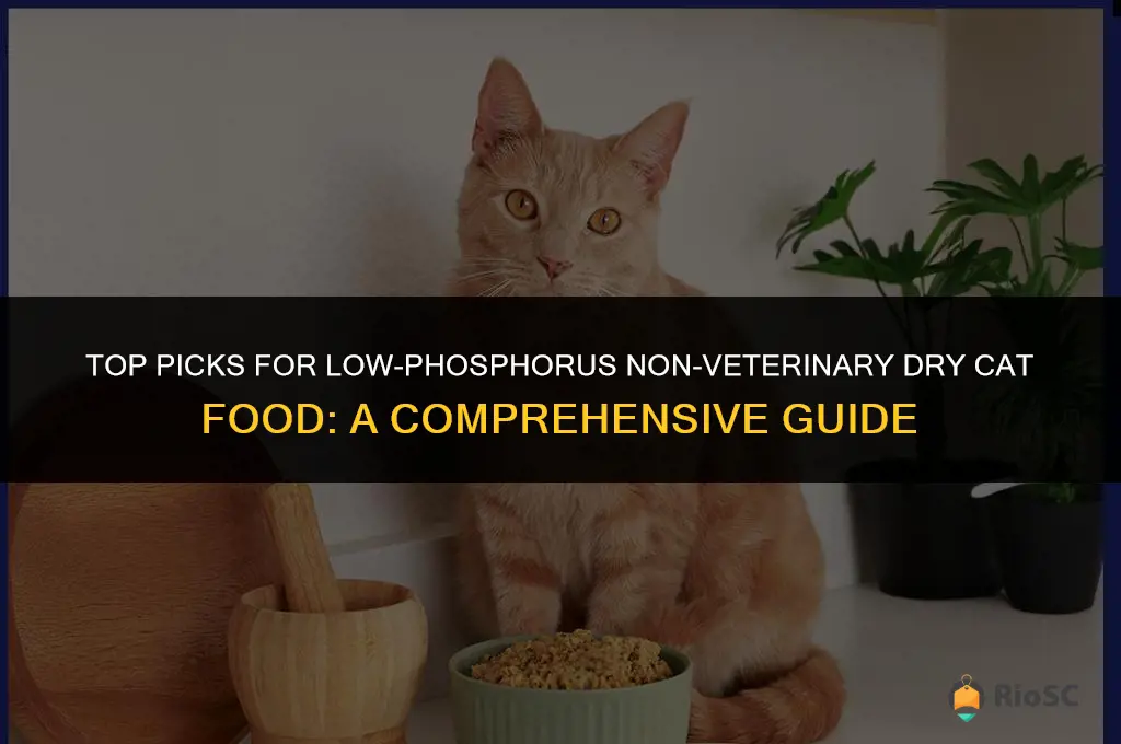 best non veterinary dry cat formula low phosporus