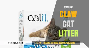 Top Non-Clumping Cat Litter Options for a Mess-Free Home