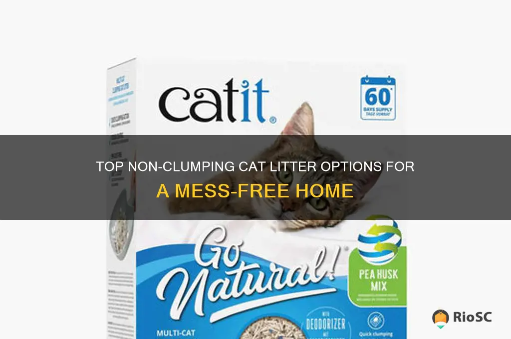 best none claw cat litter